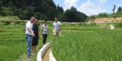 山西交口水利局采購高標準農田pe灌溉管裝車發(fā)貨了